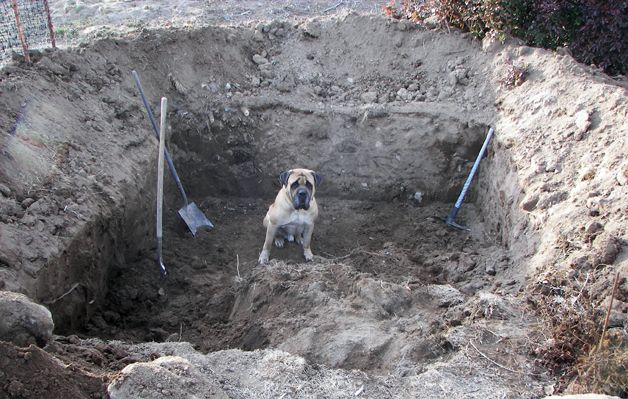 Как выкопать погреб на даче