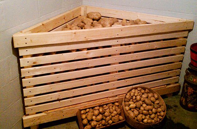 При какой температуре хранить картофель - рекомендации