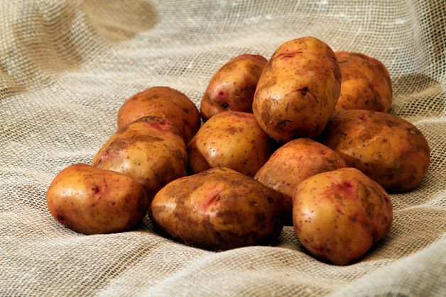 Несколько картофелин